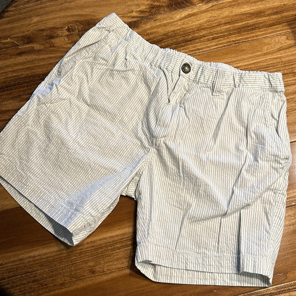 Chubbies seersucker shorts